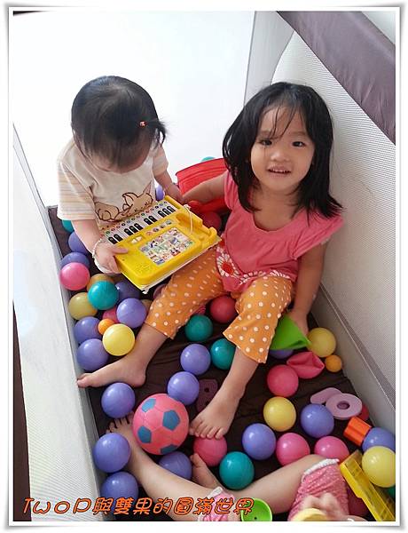 cats16.jpg cats16.jpg