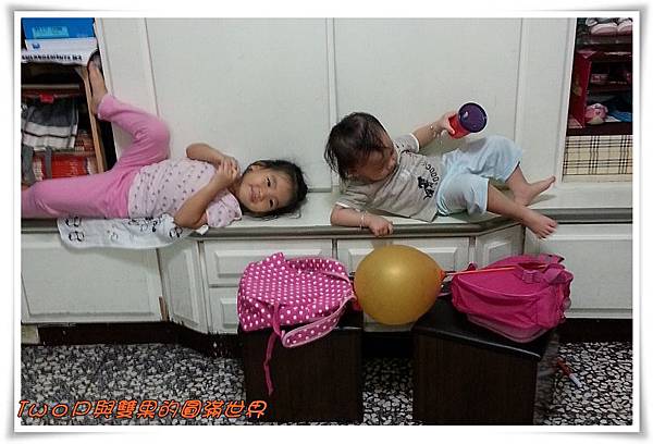 cats18.jpg cats18.jpg