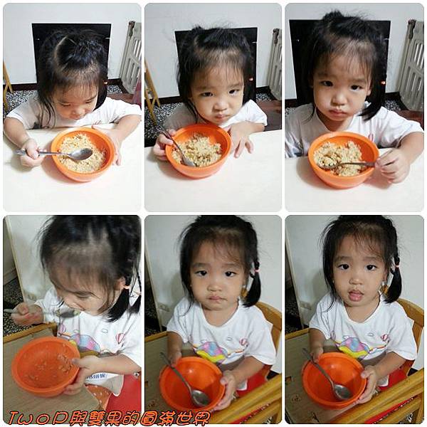 cats19.jpg cats19.jpg