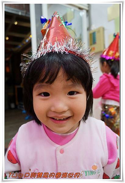 cats17.jpg cats17.jpg