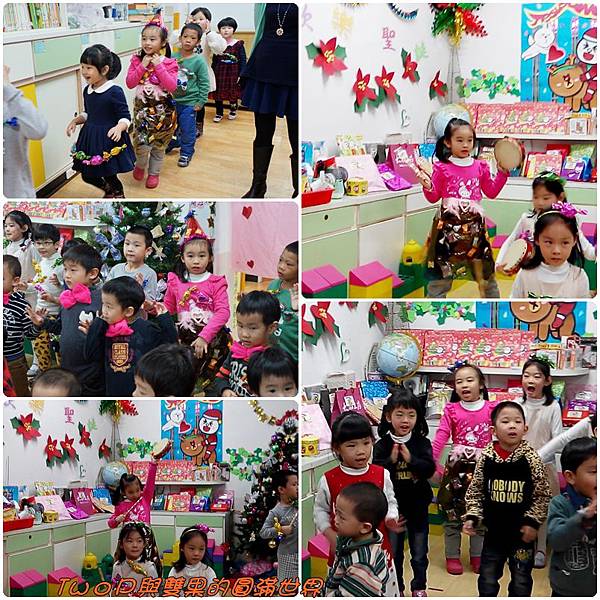 cats19.jpg cats19.jpg