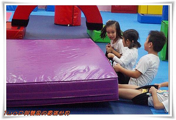 cats10.jpg cats10.jpg