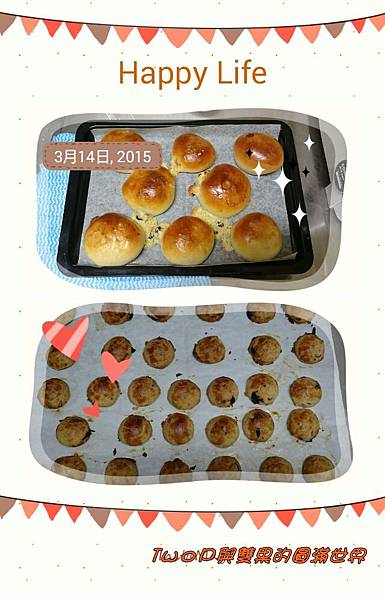 cats13.jpg cats13.jpg