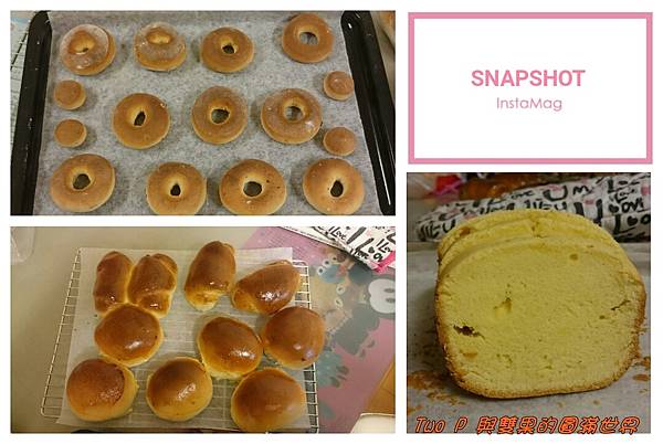 cats12.jpg cats12.jpg