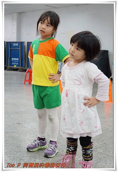 cats11.jpg cats11.jpg