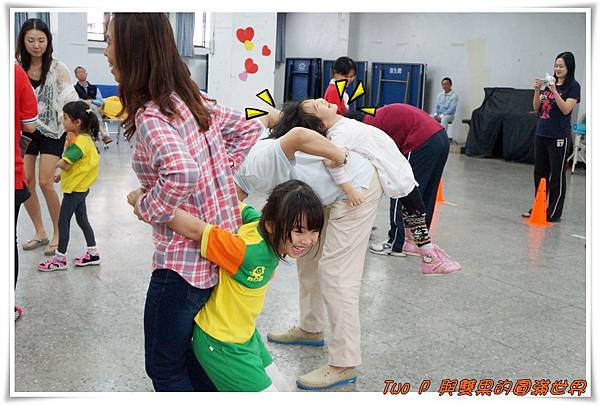 cats15.jpg cats15.jpg