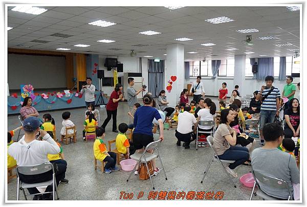 cats22.jpg cats22.jpg