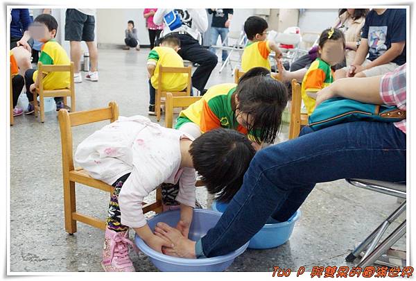 cats23.jpg cats23.jpg