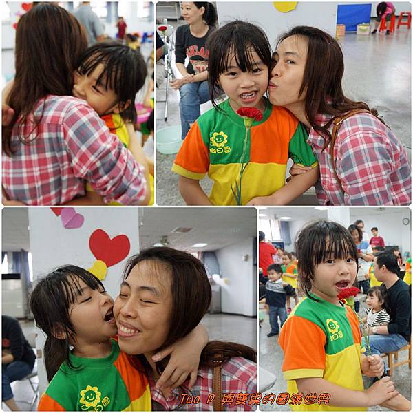 cats24.jpg cats24.jpg