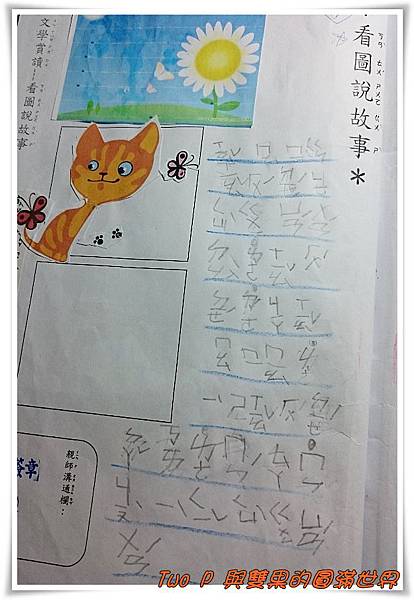 cats13.jpg cats13.jpg