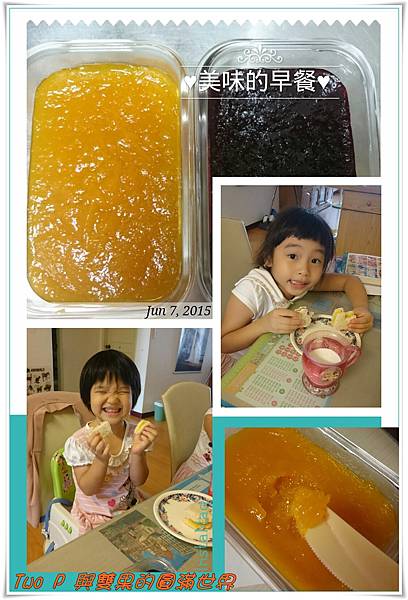 cats11.jpg cats11.jpg