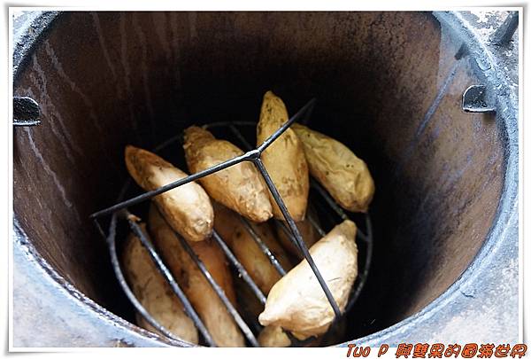 cats8-1.jpg cats8-1.jpg