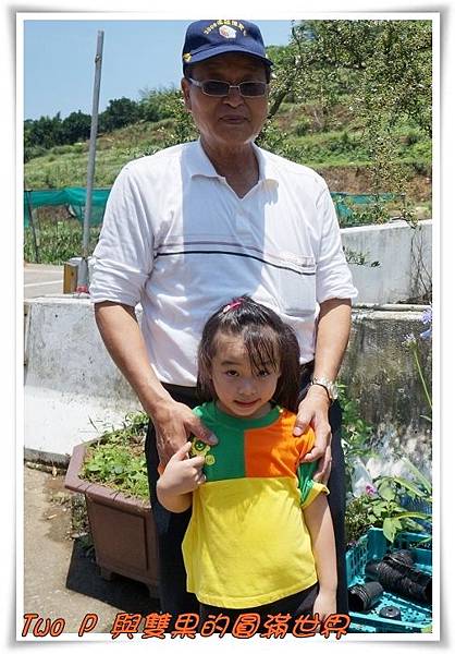 cats11.jpg cats11.jpg