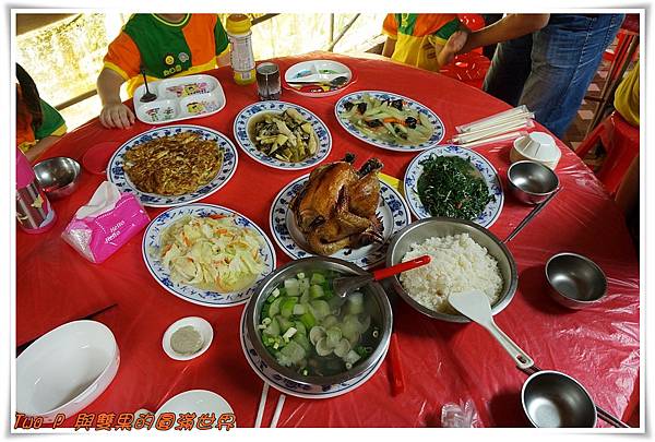 cats12.jpg cats12.jpg