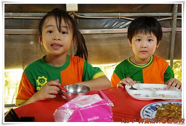 cats13.jpg cats13.jpg