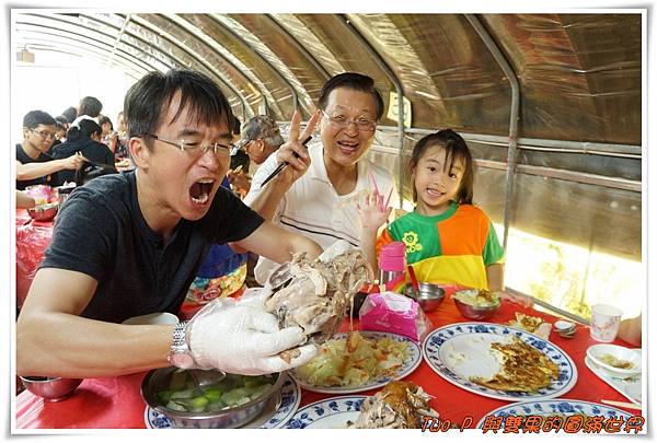 cats14.jpg cats14.jpg