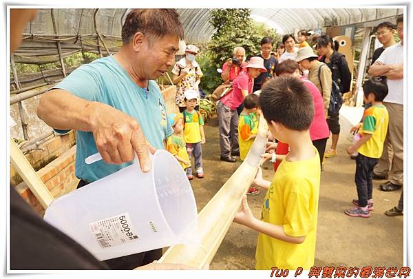 cats17.jpg cats17.jpg