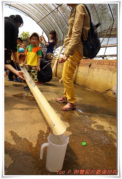 cats18.jpg cats18.jpg