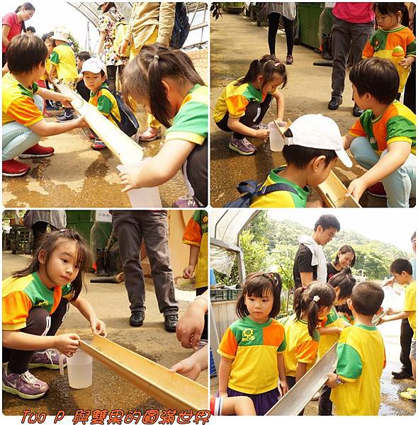 cats19.jpg cats19.jpg