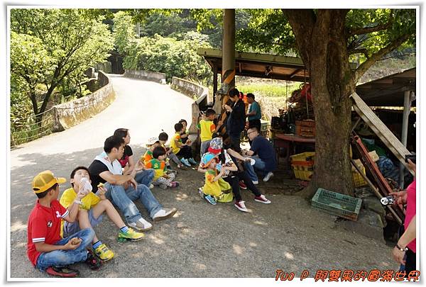 cats20.jpg cats20.jpg