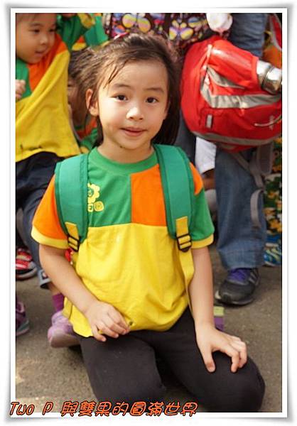 cats22.jpg cats22.jpg