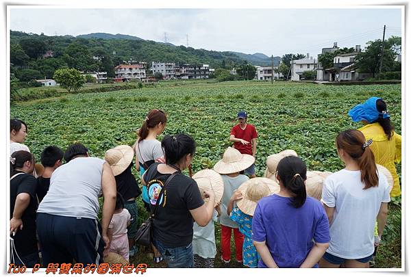 cats9-1.jpg cats9-1.jpg