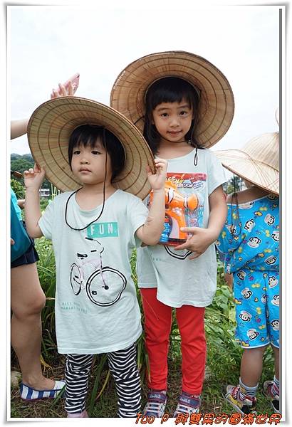 cats9-2.jpg cats9-2.jpg