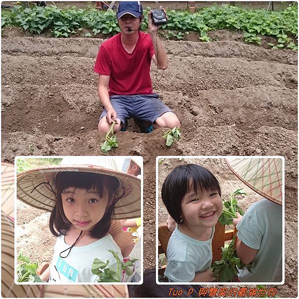 cats10.jpg cats10.jpg