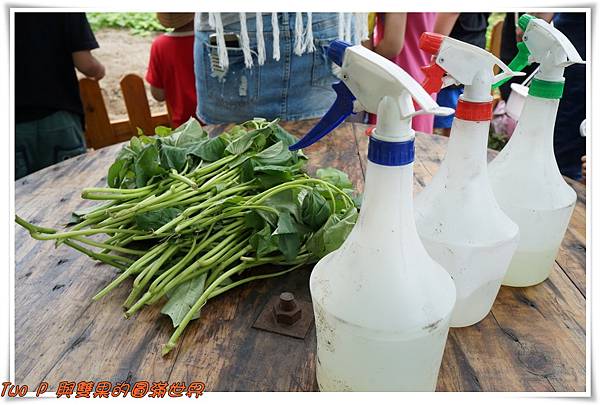 cats11.jpg cats11.jpg