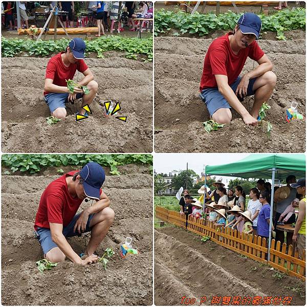 cats12.jpg cats12.jpg