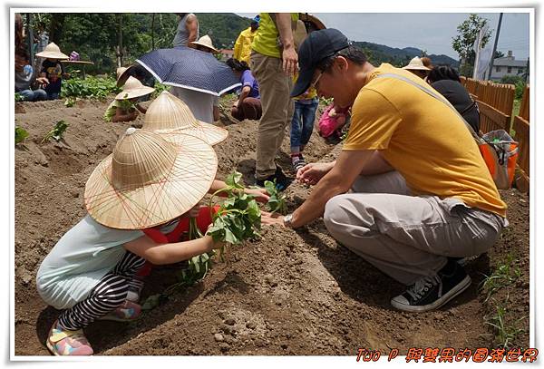 cats13.jpg cats13.jpg