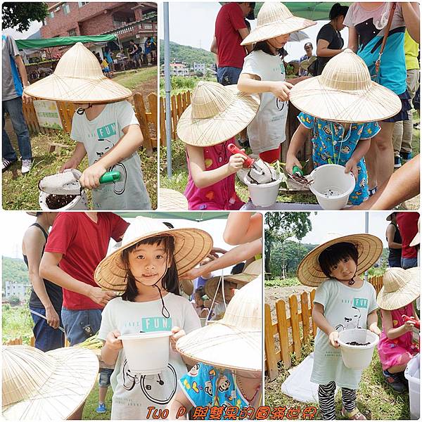 cats15.jpg cats15.jpg