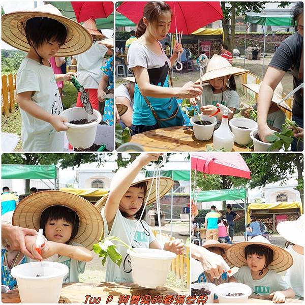 cats16.jpg cats16.jpg