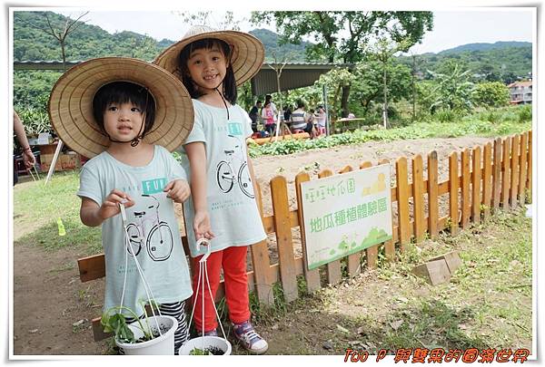 cats17.jpg cats17.jpg