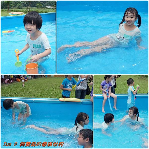 cats18.jpg cats18.jpg