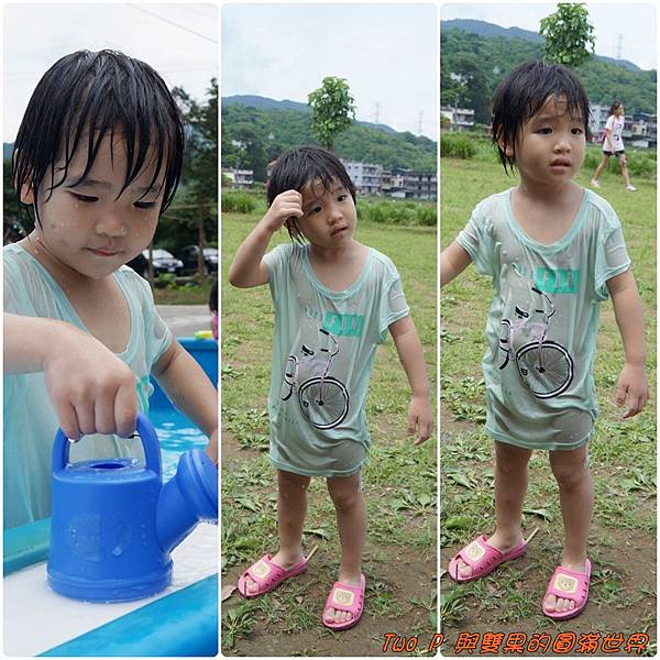 cats20.jpg cats20.jpg