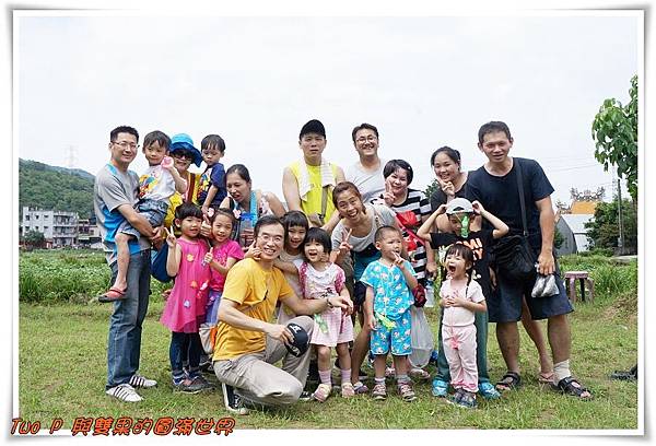 cats21.jpg cats21.jpg