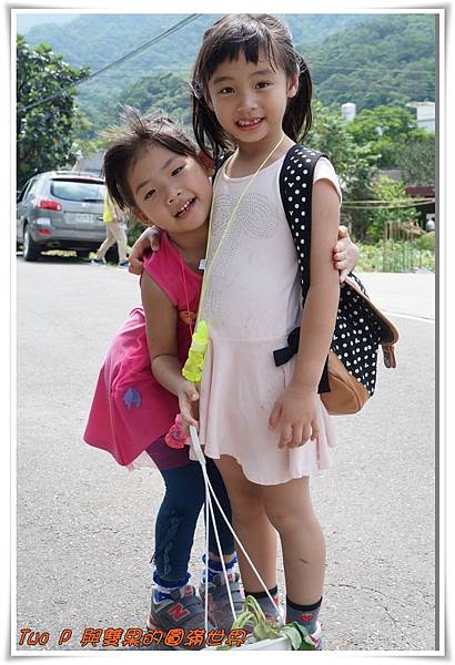 cats22.jpg cats22.jpg