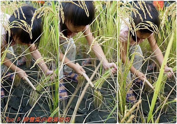 cats5-1.jpg cats5-1.jpg