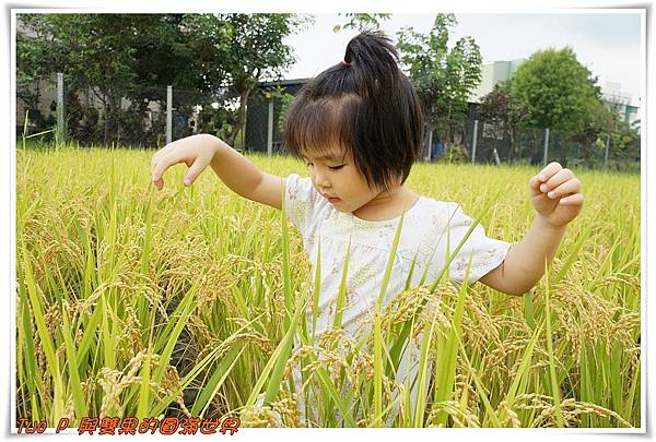 cats10.jpg cats10.jpg