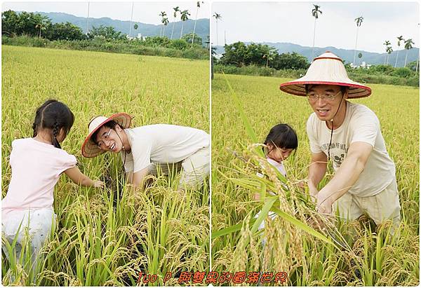 cats11.jpg cats11.jpg