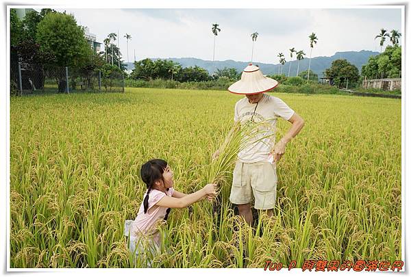 cats12.jpg cats12.jpg