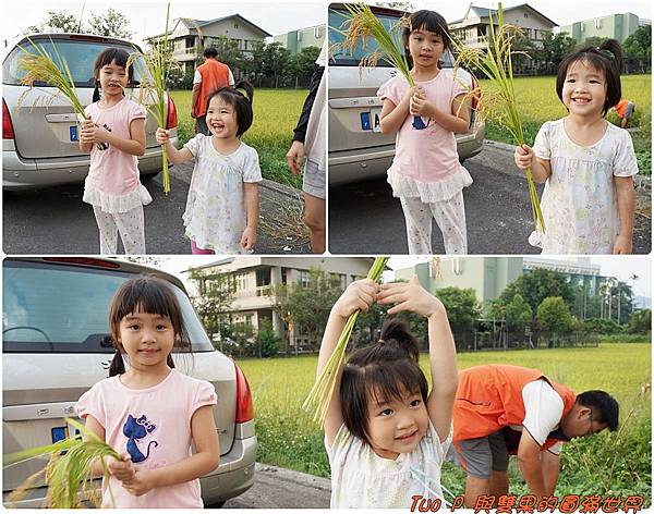 cats14.jpg cats14.jpg