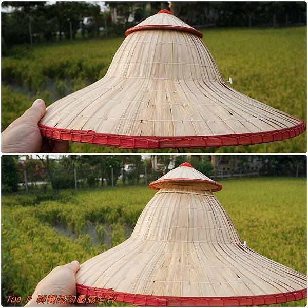 cats17.jpg cats17.jpg