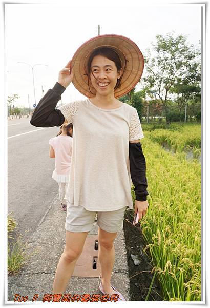 cats19.jpg cats19.jpg