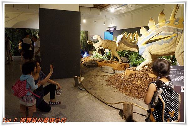 cats10.jpg cats10.jpg