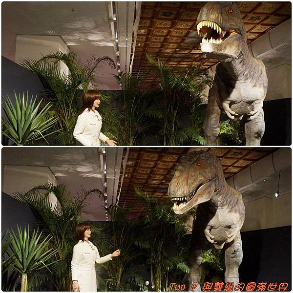 cats13.jpg cats13.jpg