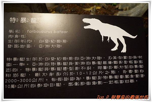 cats14.jpg cats14.jpg