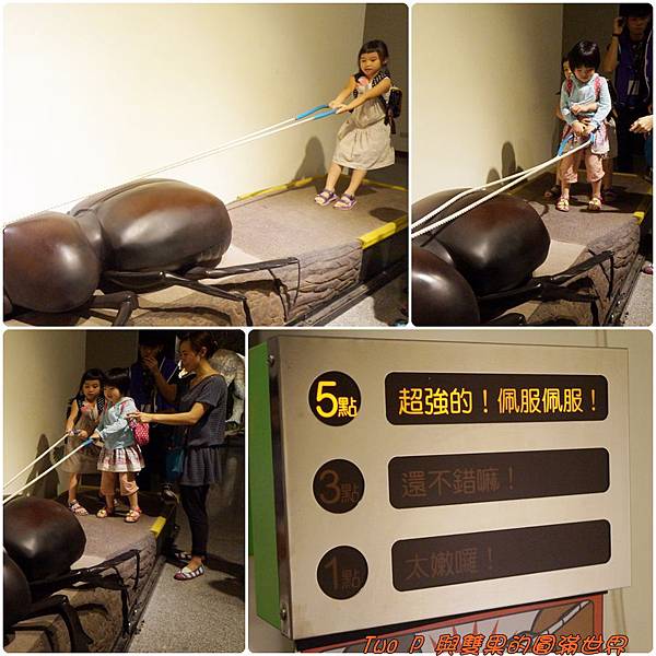 cats15.jpg cats15.jpg