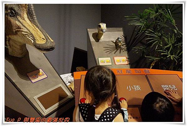 cats15-1.jpg cats15-1.jpg